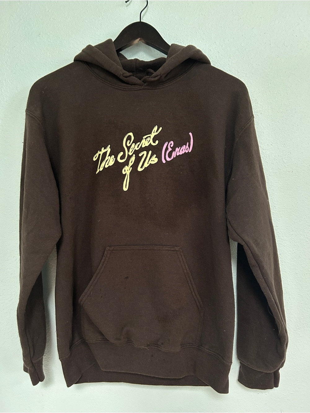 GRACIE ABRAMS tour hoodie purchased on the 2024 TSWIFT ERAS tour (Indianapolis)